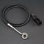 flat-enail-coil